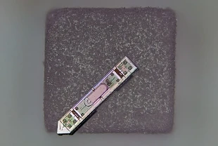 Tuz tanesi büyüklüğünde implant: Bir yıllık beyin aktivitesini kaydediyor