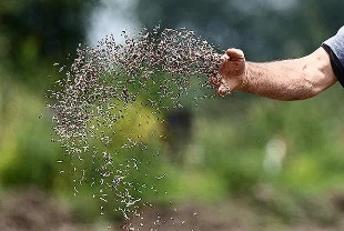 Üreticilere kritik uyarı: Kayıt dışı tohum verim kaybına yol açıyor