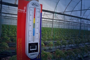 Üreticiye kritik uyarı: Bazı bölgelerde zirai don tehlikesi