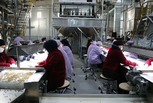 Üretimde yavaşlama sürüyor: İSO Türkiye İmalat PMI ekimde 46,5 oldu