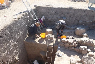 Uşaklı Höyük'teki kazılarda eski dönemlere ait yemek kültürü ve tarımsal ürünler araştırılıyor