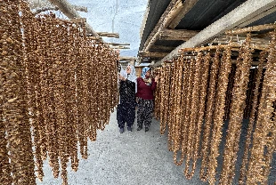Üzüm bulamacı ve cevizden üretilen orcikin yapım zamanı geldi