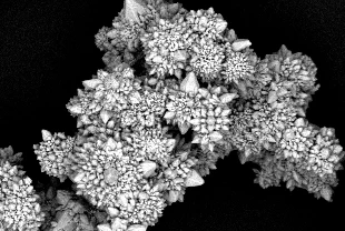 Yakıtsız uçan mikromotorlar geliştirildi: Işık gücüyle hareket ediyor