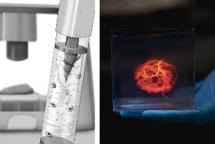 Yapay doku üretimine manyetik dokunuş: Homojen 3D baskı