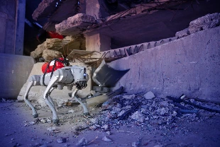 Yapay zekalı robot köpek, arama-kurtarmayı insan hassasiyetiyle yapıyor