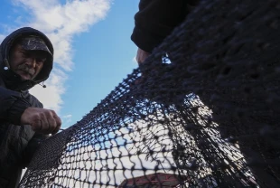 Yarısı tamamlanan av sezonunda hamsi ve sardalya yüz güldürdü