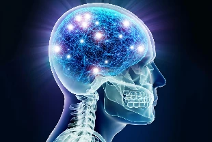 Yaşlanan beyni yenileyen 'Moleküler anahtar' keşfedildi