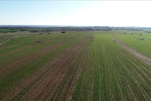 Yedi yılda 48,8 milyon metrekare arazi tıbbi ve aromatik bitki yetiştirilmek üzere kiralandı