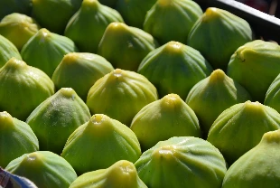 Yediveren incirinin hasadından sonra ihracatı da başladı