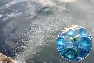 Yeni nanoteknoloji atık suları gübreye dönüştürüyor