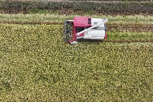 YÖK’ten tarımda dijital hamle: Yeni program bu yıl başlayacak