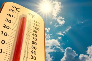 Yükselen sıcaklıklar dünyada dakikada bir kişiyi öldürüyor