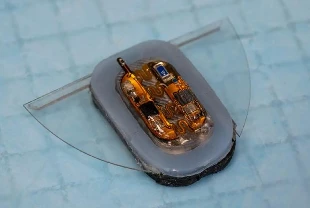 Yumuşak robotlarda enerji sorunu manyetik alanla çözüldü