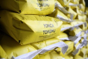Yüzde 70 hibeli mısır ve yonca tohumu dağıtıldı