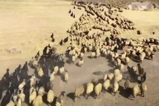 Zamanın Ustaları belgeselinden ilk görüntüler yayınlandı