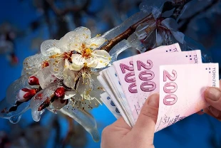 Zirai don desteğinde yeni ödeme: 221 milyon 150 bin lira bugün üreticilerin hesabında