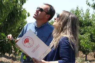 Zirai Don Olayı Araştırma Komisyonu taslak raporunu tamamladı