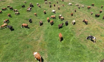 10 soruda Kırsalda Bereket Projesi: Kimler başvuracak, ne destek verilecek?