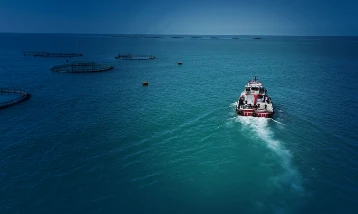 2025'te balıkçılık sektöründen tarihi rekor