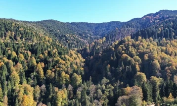 Ormanların bakımı için 2,3 milyar lira harcandı