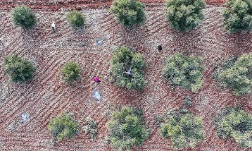 9 ilde ekonomik dönüşüm: Teşviklerle sanayi ve tarım güçlenecek