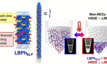 'Akıllı sünger' virüs nadir elementleri toplayacak