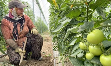 Antalya sebze üretiminde Türkiye lideri: 31 üründe zirvede