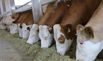 Bakan Yumaklı açıkladı: Kastamonu'ya 784 milyon liralık tarım bölgesi