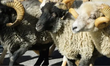 Kurban Bayram tatili ne zaman başlıyor?