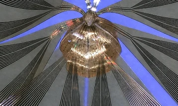 Biyoelektronikte yeni dönem: Organoidler 3D taranıyor