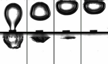 Biyoreaktörlerde verimliliği 1000 kat artıran membran