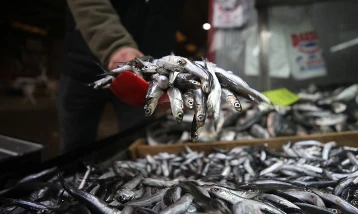 Bolluk bitti fiyatlar uçtu: Hamsi fiyatı 3 kat zamlandı