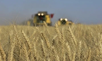 Buğday ve arpa üreticileri dikkat: TMO alımları 21 Mayıs’ta açılıyor