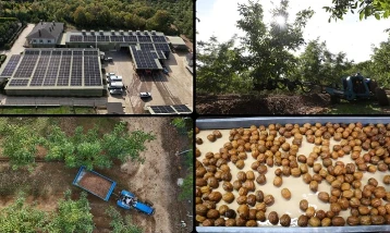 Ceviz üretimine başlayan işletme elektriğini güneşten karşılıyor