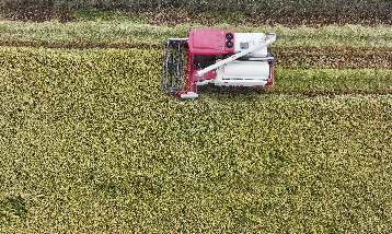 Çiftçilere 149,6 milyon liralık destek ödemesi bugün hesaplara yatıyor