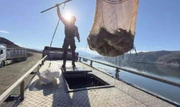 Denizi olmayan Tokat’tan Japonya ve Avrupa’ya Türk somonu ihracatı