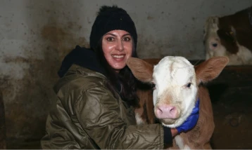 Devlet desteğiyle başladı: 3 yılda 200 başlık sürü kurdu