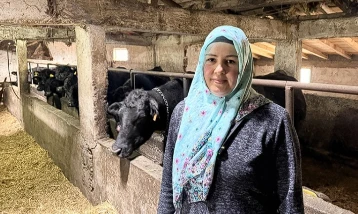 Devlet desteğiyle büyüdü: Kadın çiftçi sürüsünü ikiye katladı