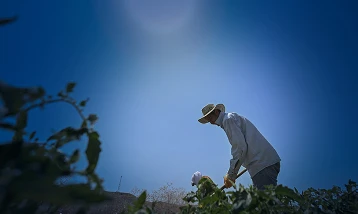 1 milyardan fazla kişinin geçim kaynağı tehdit altında
