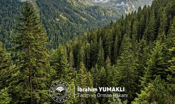 Dünya Ormancılık Günü’nde çağrı: Yeşil vatan korunacak