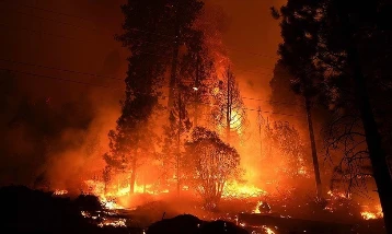 El Nino orman yangını riskini artırıyor