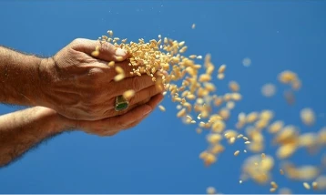 FAO: Hürmüz Boğazı'ndaki kesinti gıda güvenliğini tehdit ediyor