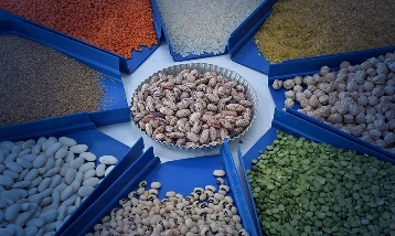 Gıda ve içecek ihracatı 27,79 milyar dolara çıktı: Yüzde 0,35 artışla rekor