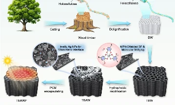Güneş enerjisi depolamada ‘ahşap’ çözümü: Yüzde 91 verimlilik