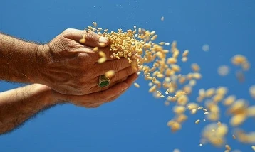 Hububat ihracatı ocakta ivmelendi: Türkiye 1 milyar dolara yaklaştı