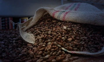 Türkiye kakaodan 1,7 milyar dolar kazandı