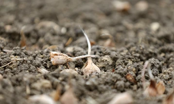 İklim değişimine yerli kalkan!