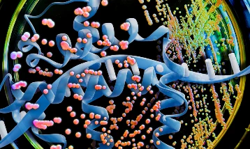 İlaç sanayinde yapay zeka devrimi: Üretim maliyetleri düşüyor