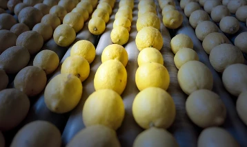 İlk çeyrekte en fazla limon Rusya'ya ihraç edildi!