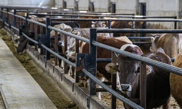 IPARD-III desteği açıklandı: 218 projeye 2,5 milyar lira hibe